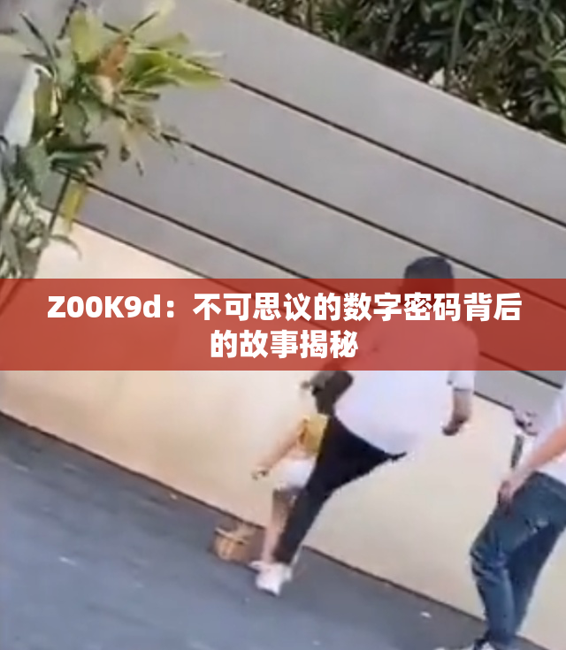 Z00K9d：不可思议的数字密码背后的故事揭秘