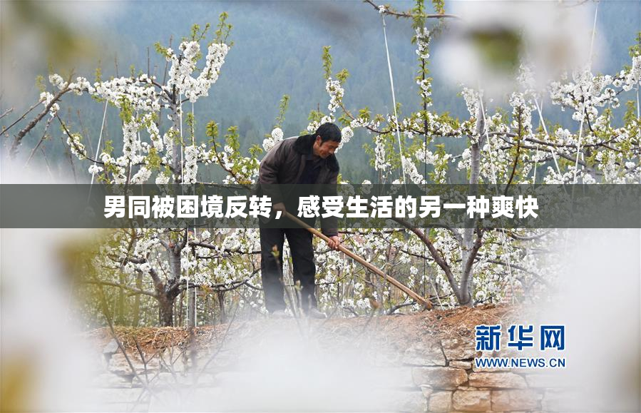 男同被困境反转，感受生活的另一种爽快
