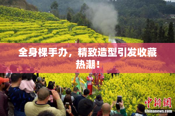 全身棵手办，精致造型引发收藏热潮！