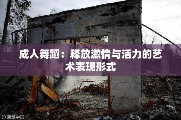 成人舞蹈：释放激情与活力的艺术表现形式