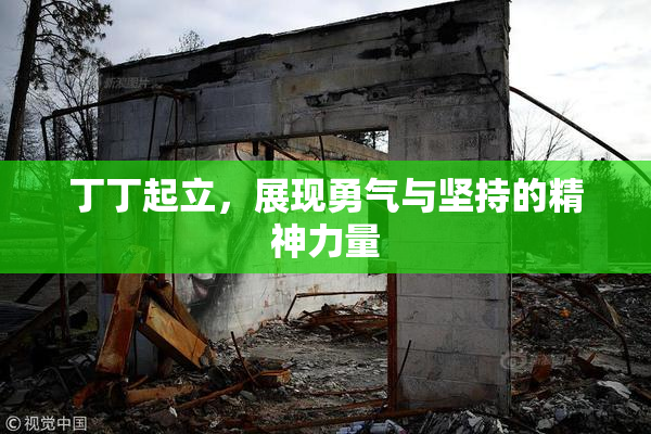 丁丁起立，展现勇气与坚持的精神力量