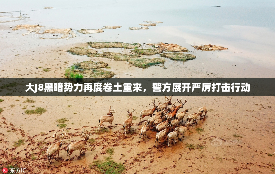 大J8黑暗势力再度卷土重来，警方展开严厉打击行动