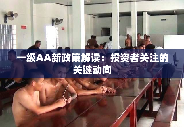 一级AA新政策解读：投资者关注的关键动向