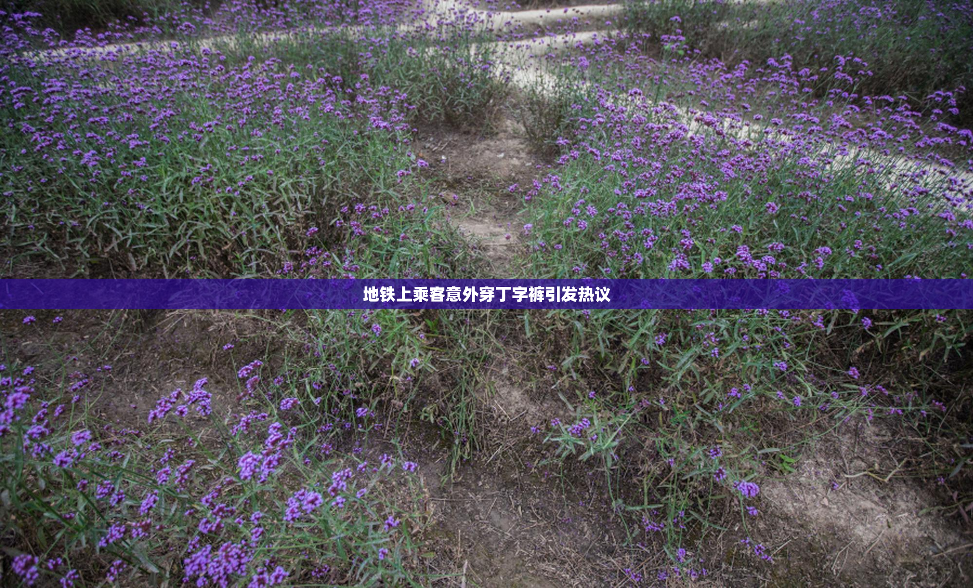 地铁上乘客意外穿丁字裤引发热议