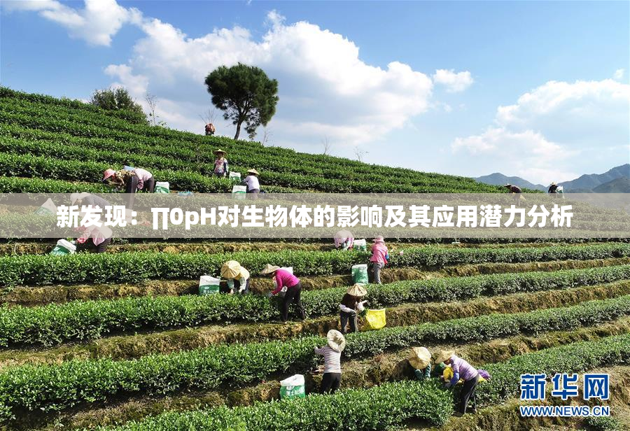 新发现：∏0pH对生物体的影响及其应用潜力分析