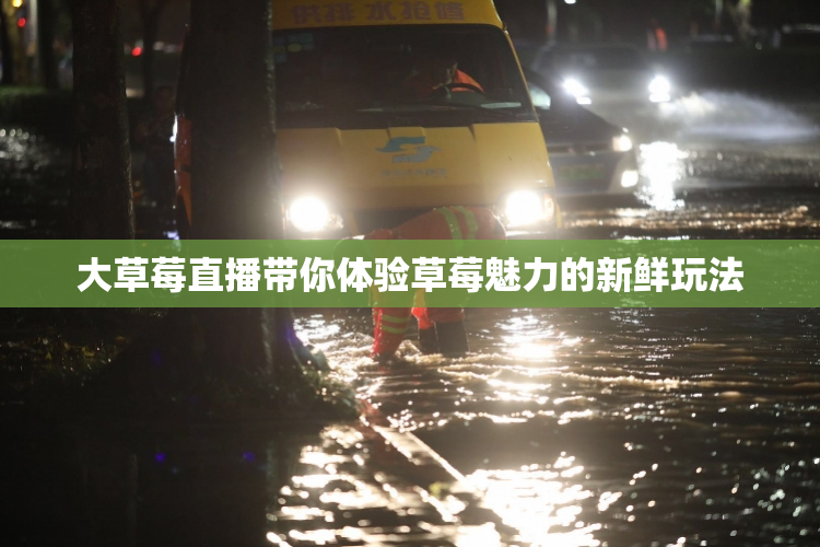 大草莓直播带你体验草莓魅力的新鲜玩法