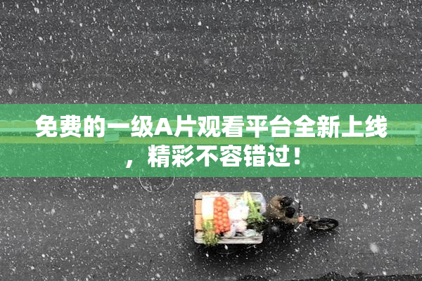 免费的一级A片观看平台全新上线，精彩不容错过！