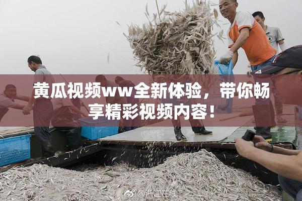 黄瓜视频ww全新体验，带你畅享精彩视频内容！