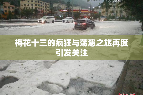 梅花十三的疯狂与荡漶之旅再度引发关注