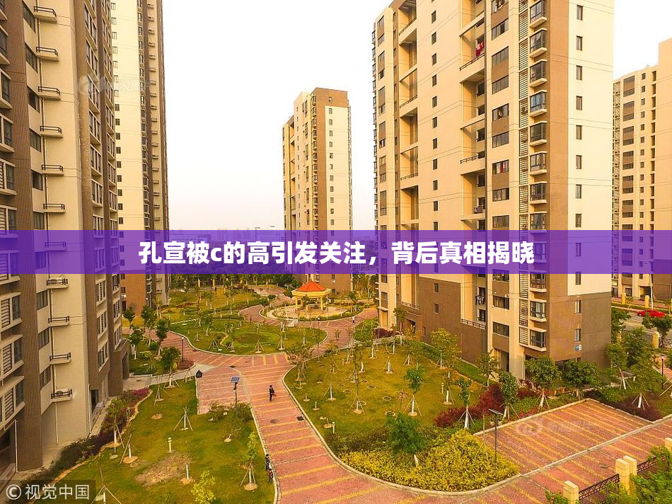 孔宣被c的高引发关注，背后真相揭晓