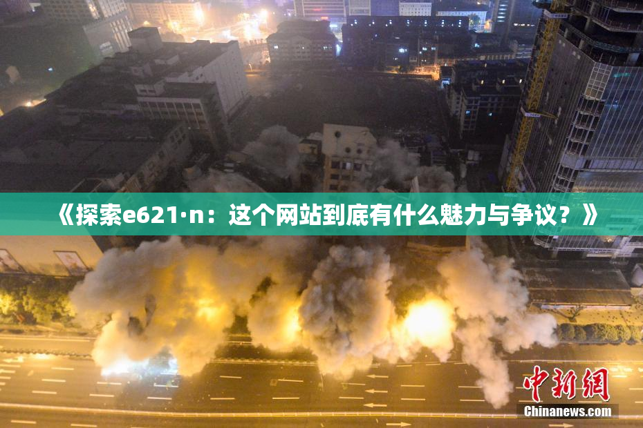 《探索e621·n：这个网站到底有什么魅力与争议？》