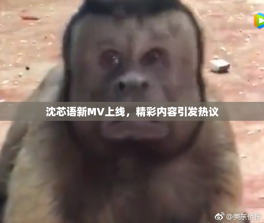 沈芯语新MV上线，精彩内容引发热议