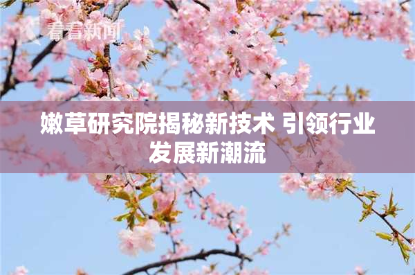 嫩草研究院揭秘新技术 引领行业发展新潮流