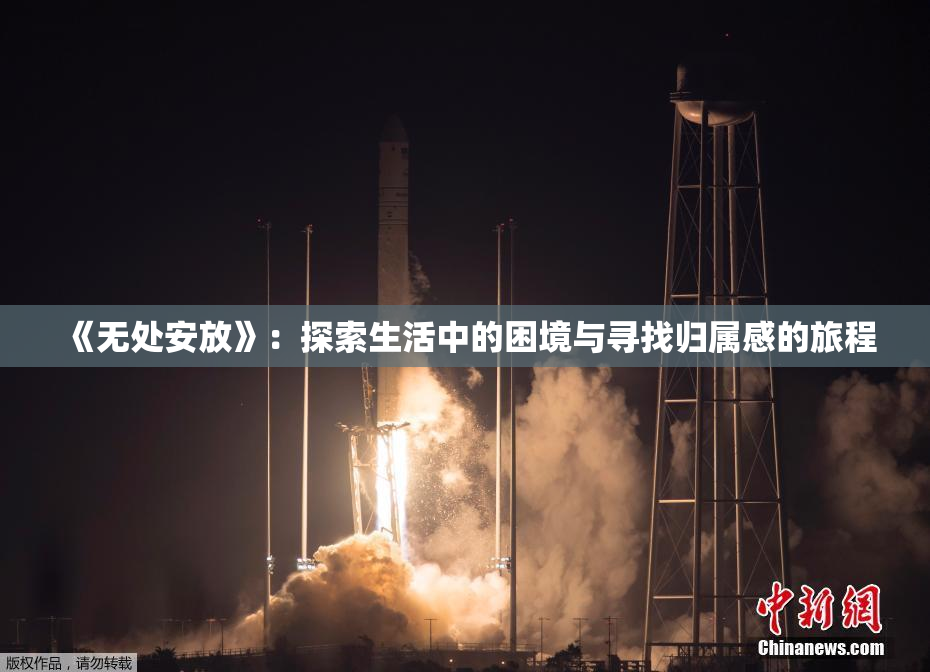 《无处安放》：探索生活中的困境与寻找归属感的旅程