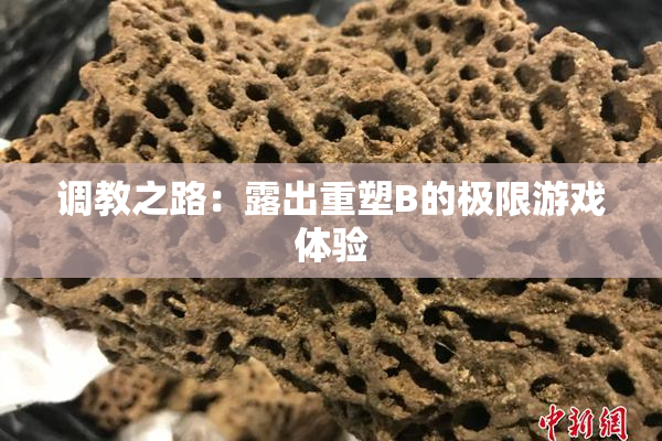 调教之路：露出重塑B的极限游戏体验