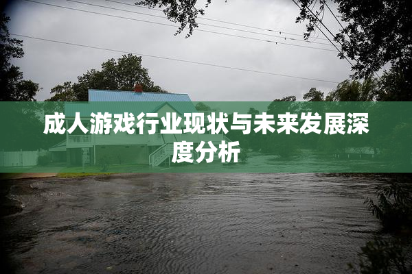 成人游戏行业现状与未来发展深度分析