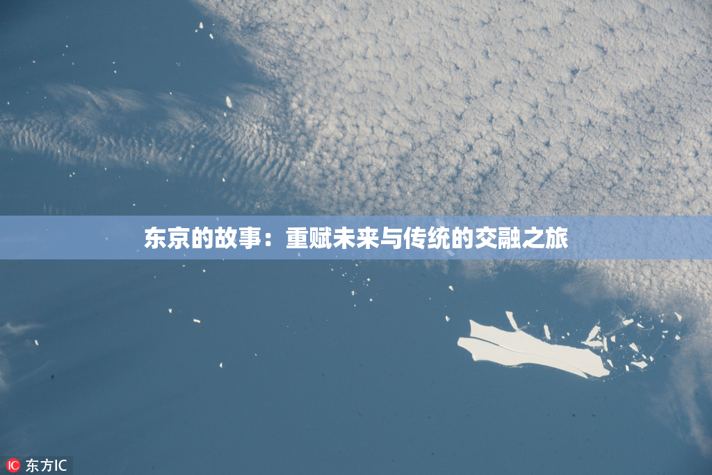 东京的故事：重赋未来与传统的交融之旅