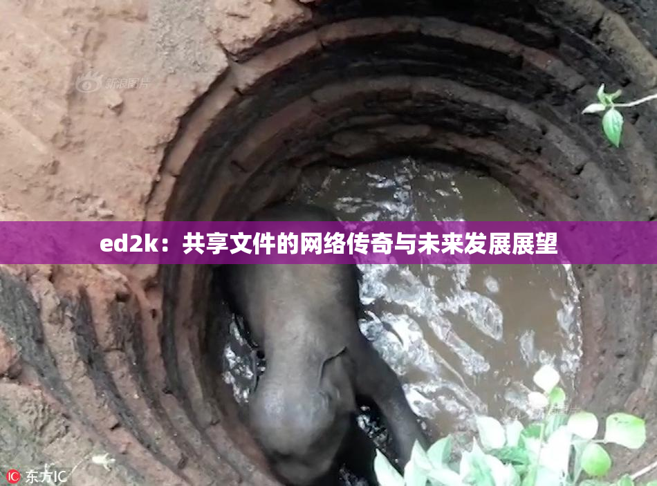 ed2k：共享文件的网络传奇与未来发展展望