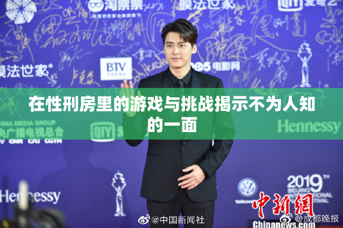 在性刑房里的游戏与挑战揭示不为人知的一面
