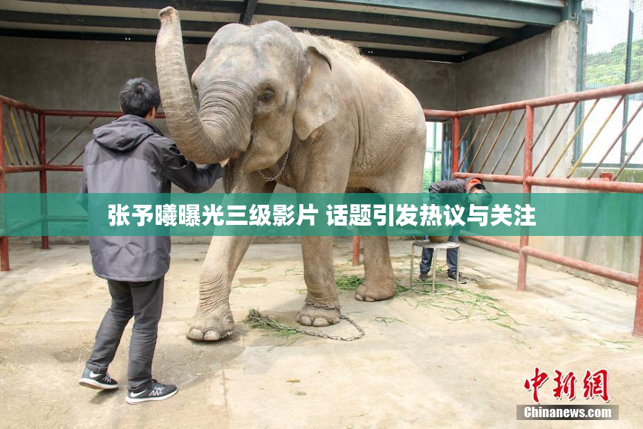 张予曦曝光三级影片 话题引发热议与关注