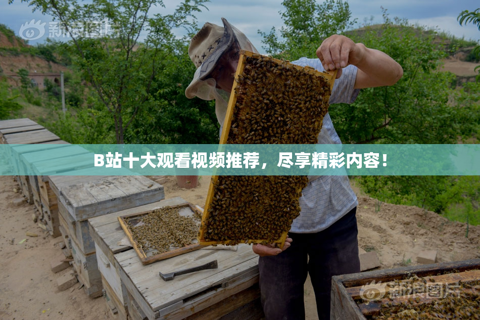 B站十大观看视频推荐，尽享精彩内容！