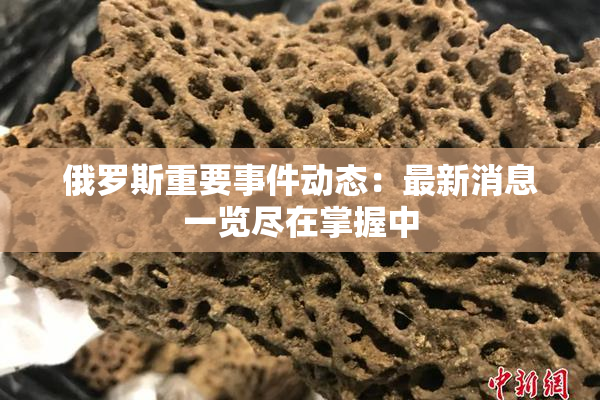 俄罗斯重要事件动态：最新消息一览尽在掌握中