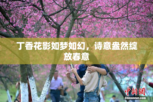 丁香花影如梦如幻，诗意盎然绽放春意