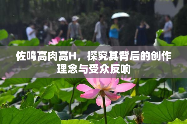 佐鸣高肉高H，探究其背后的创作理念与受众反响