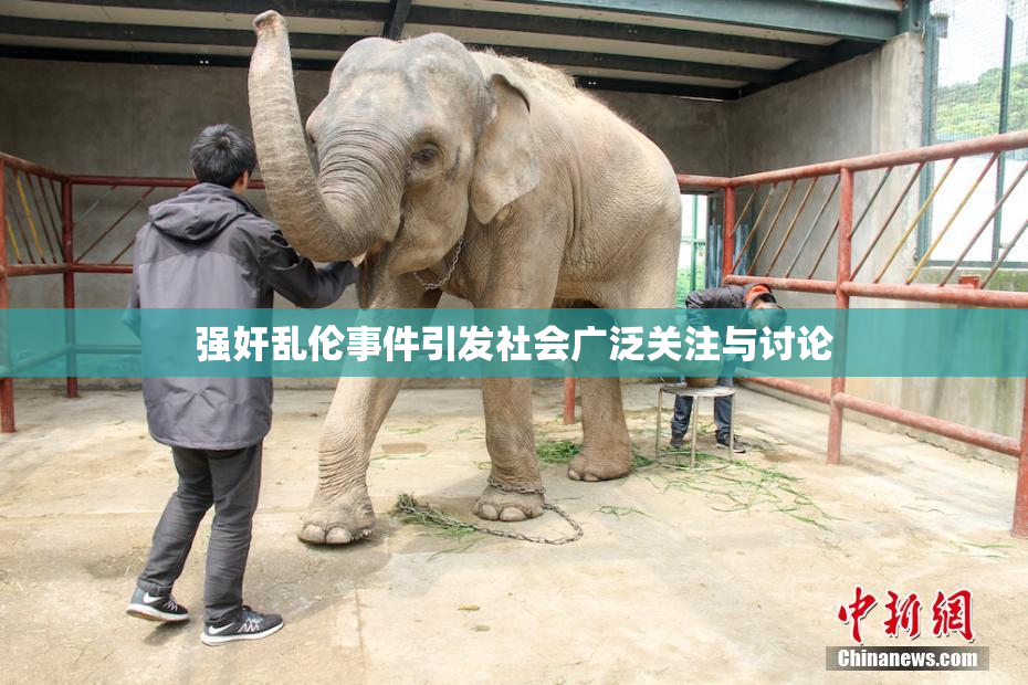 强奸乱伦事件引发社会广泛关注与讨论