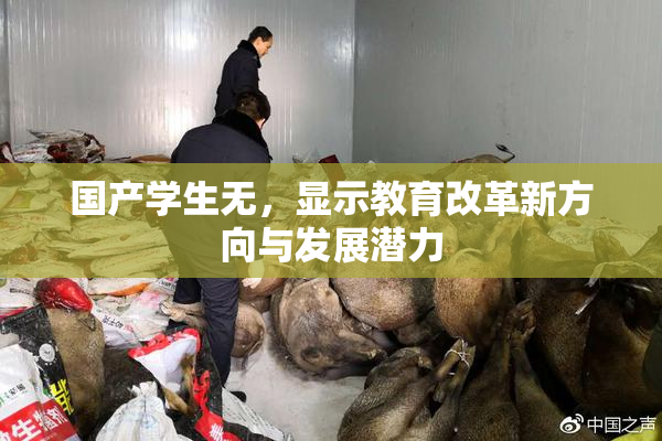 国产学生无，显示教育改革新方向与发展潜力
