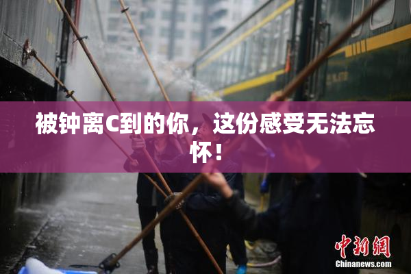被钟离C到的你，这份感受无法忘怀！