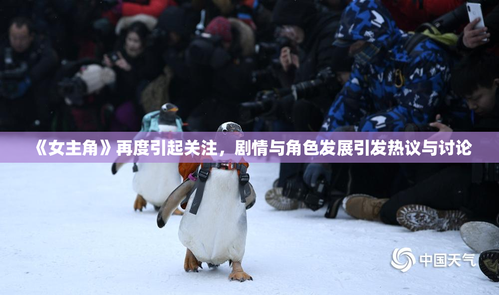 《女主角》再度引起关注，剧情与角色发展引发热议与讨论