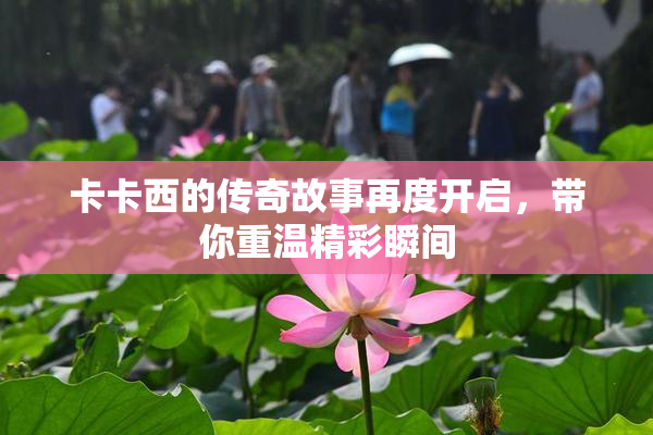 卡卡西的传奇故事再度开启，带你重温精彩瞬间