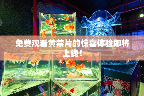 免费观看黄禁片的惊喜体验即将上线！
