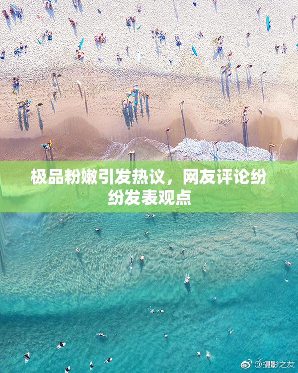 极品粉嫩引发热议，网友评论纷纷发表观点