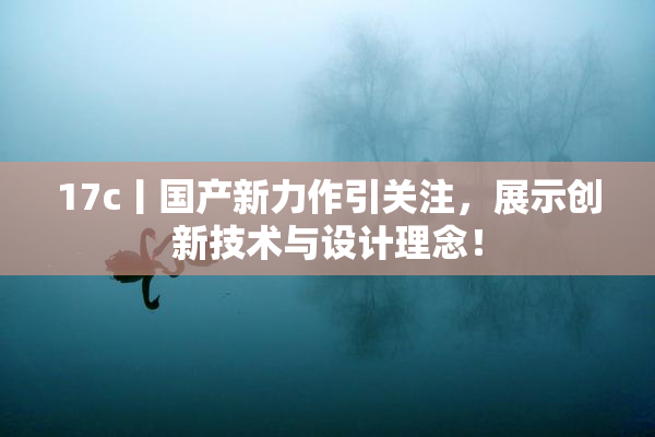 17c丨国产新力作引关注，展示创新技术与设计理念！