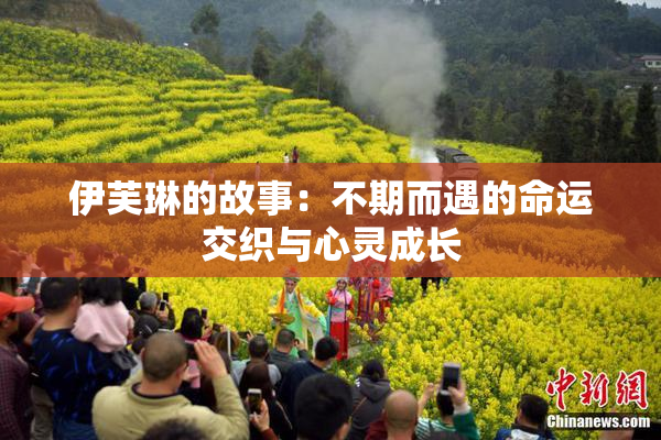 伊芙琳的故事：不期而遇的命运交织与心灵成长