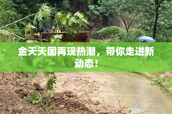 金天天国再现热潮，带你走进新动态！