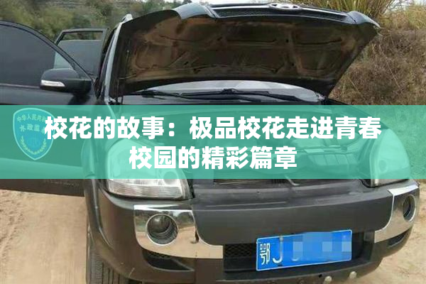 校花的故事：极品校花走进青春校园的精彩篇章