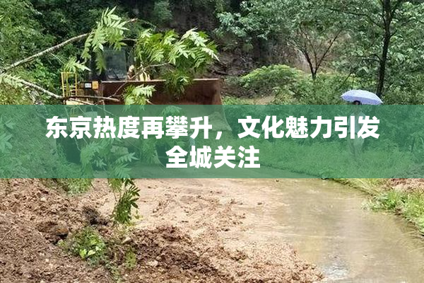 东京热度再攀升，文化魅力引发全城关注