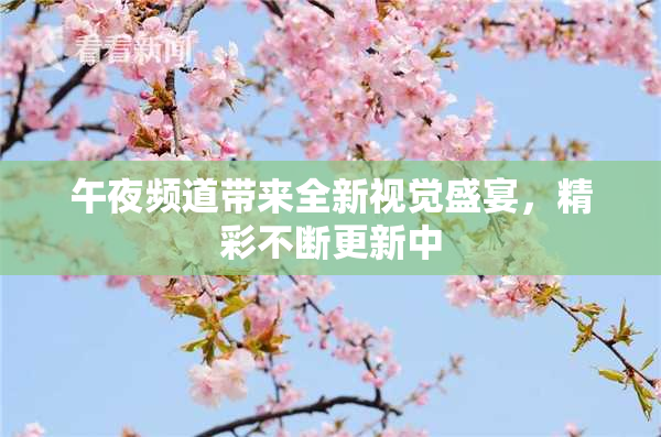 午夜频道带来全新视觉盛宴，精彩不断更新中
