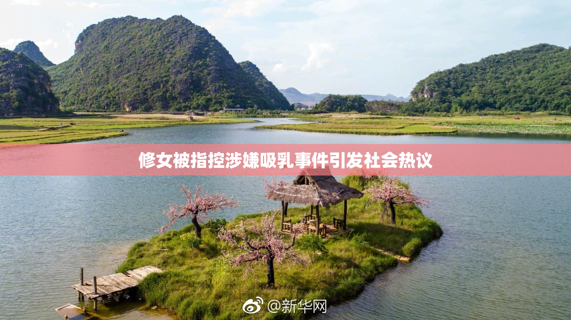 修女被指控涉嫌吸乳事件引发社会热议