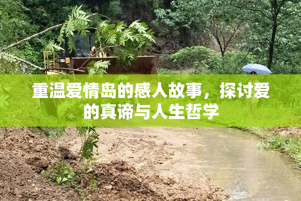 重温爱情岛的感人故事，探讨爱的真谛与人生哲学