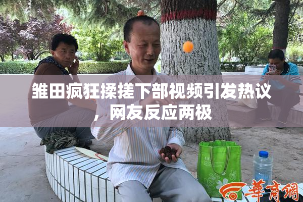 雏田疯狂揉搓下部视频引发热议，网友反应两极