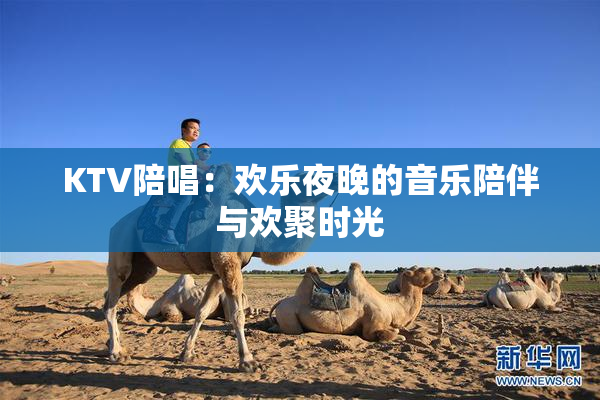 KTV陪唱：欢乐夜晚的音乐陪伴与欢聚时光