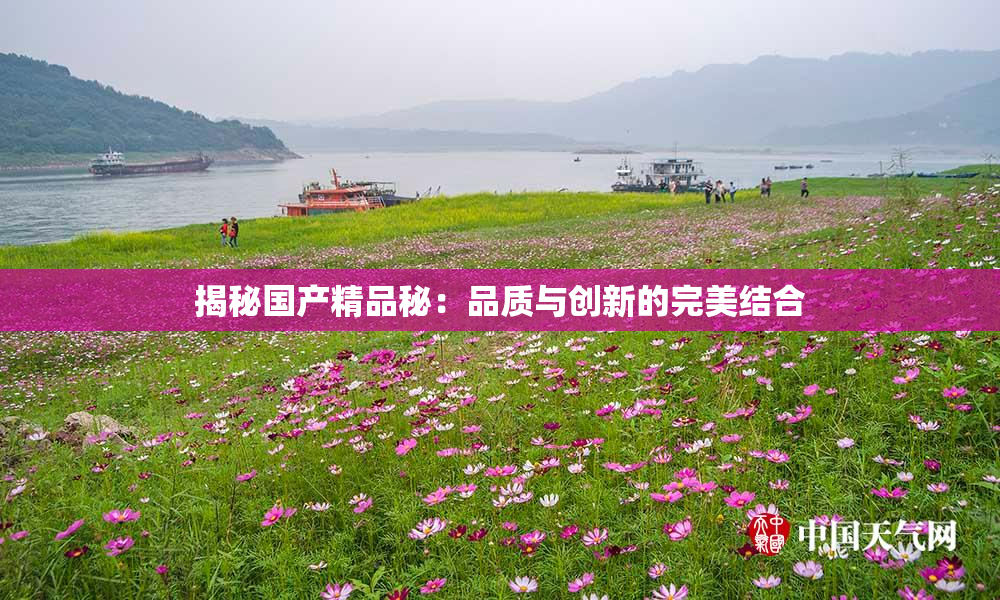 揭秘国产精品秘：品质与创新的完美结合
