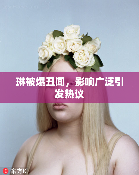 琳被爆丑闻，影响广泛引发热议