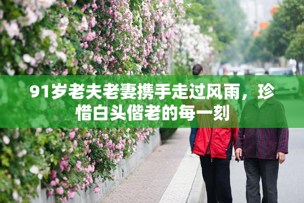 91岁老夫老妻携手走过风雨，珍惜白头偕老的每一刻