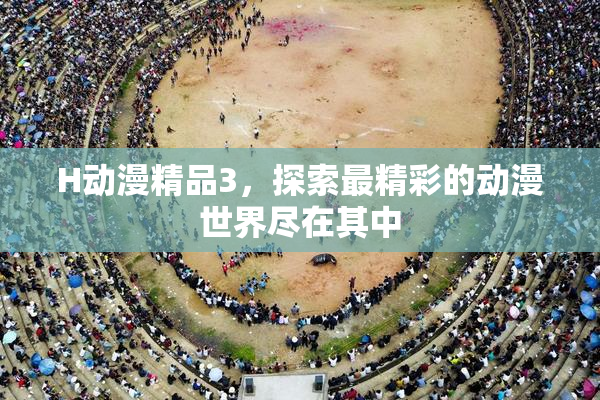 H动漫精品3，探索最精彩的动漫世界尽在其中