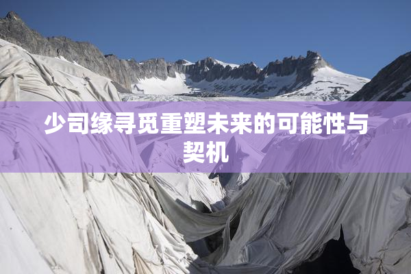 少司缘寻觅重塑未来的可能性与契机